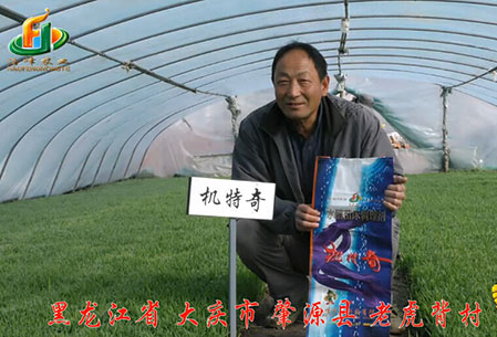 大慶-肇源(yuan)縣-用戶迴訪(fang)視頻