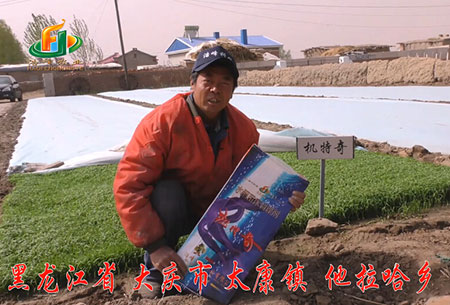 大(da)慶-太康鎮-用戶迴訪視頻