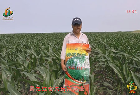 大慶(qing)泰康腰新