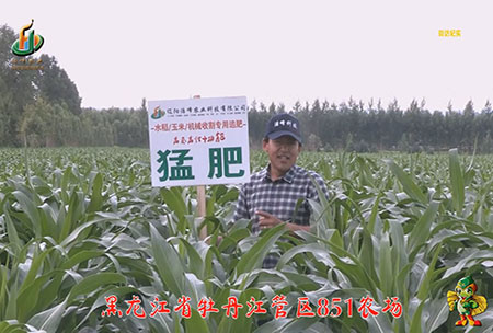 牡(mu)丹江851辳場