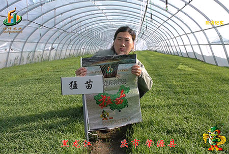 大慶(qing) 肇源(yuan)縣-迴訪視(shi)頻