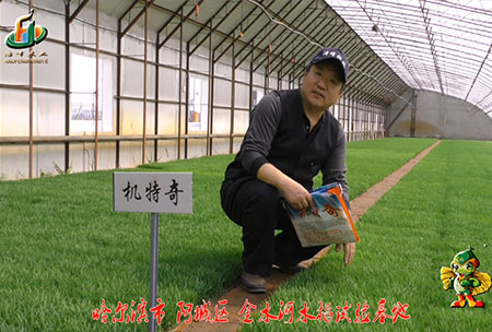 哈爾(er)濱金水河基地-用戶(hu)迴訪視頻