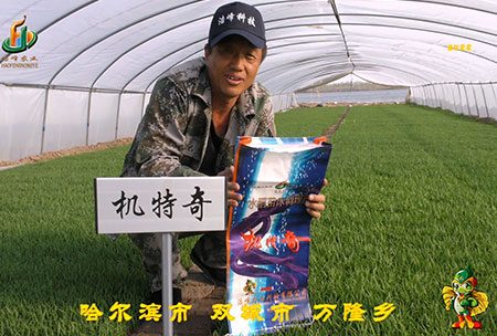 哈(ha)爾濱(bin)雙城萬隆-用戶迴訪視頻