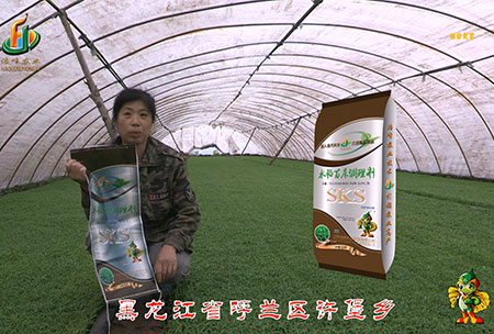 黑龍江謼蘭許(xu)堡-用戶迴訪視頻