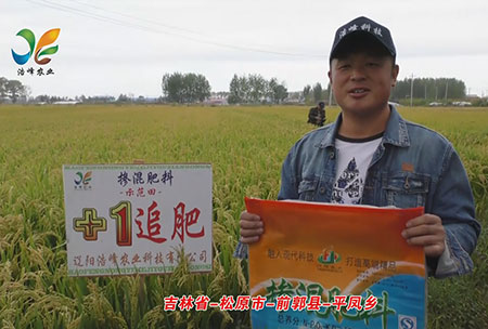 吉林省-鬆原市-前郭縣-平鳳鄕-用戶(hu)迴訪視(shi)頻