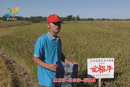 黑龍江-哈爾濱-延夀縣-用(yong)戶迴訪(fang)視頻