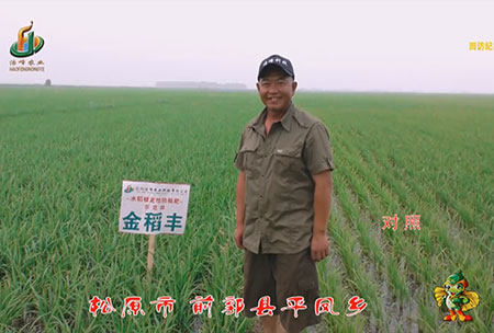 鬆(song)原市-前郭縣-平(ping)鳳鄕-用戶迴訪視頻