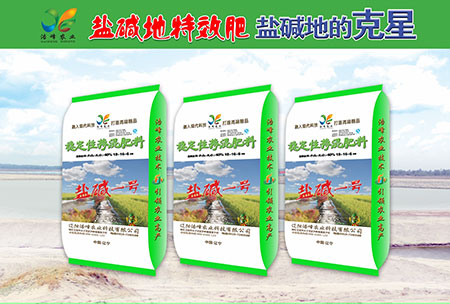 鹽堿地專(zhuan)用功能肥