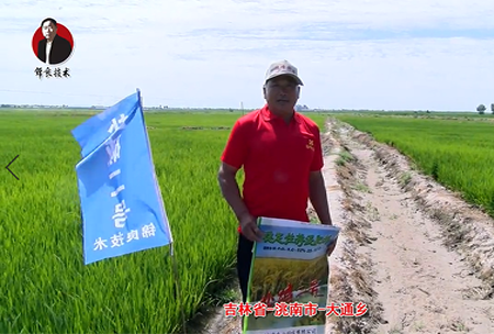 吉林省(sheng)-洮南市-大通鄕