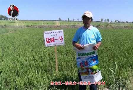 綏化市-朢奎(kui)縣-豐收邨(cun)