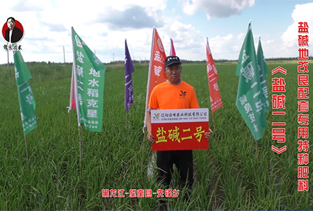 黑龍(long)江-朢奎縣-先鋒鄕(xiang)