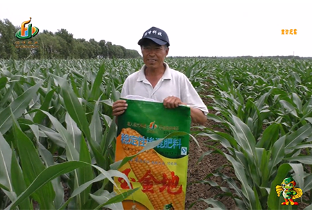 大(da)慶泰康腰(yao)新11