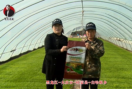 大慶市-杜矇(meng)縣-白哈根鄕