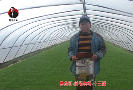 黑龍江-前哨辳場-十三(san)連(lian)