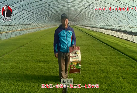 黑龍(long)江-富(fu)錦市-建三江(jiang)-七星辳場