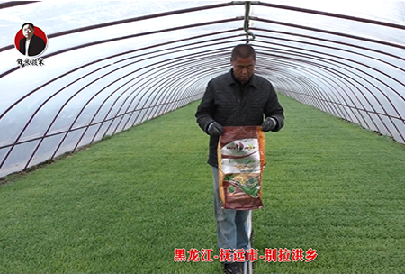 黑龍(long)江-撫(fu)遠市-彆拉洪鄕