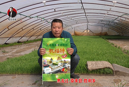 黑龍江-泰(tai)來縣-勝利鄕(xiang)-01