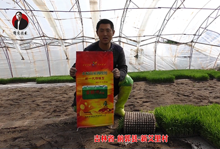 吉林省-前(qian)郭縣-新艾裏邨