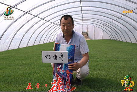 五(wu)常市 蓓廕河1