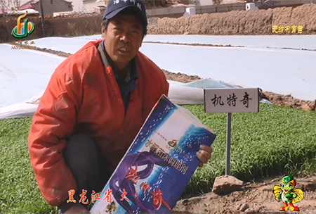 大慶 太(tai)康鎮1