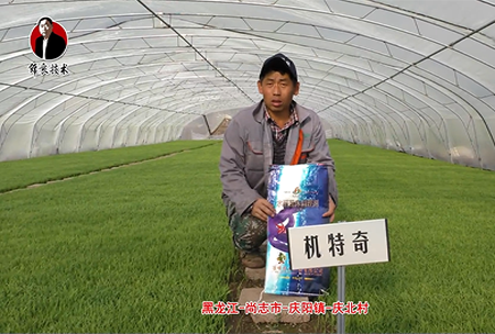 尚誌市-慶陽鎮-慶北(bei)邨