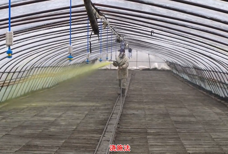 2-水(shui)溶(rong)壯秧劑(ji)-澆施用灋