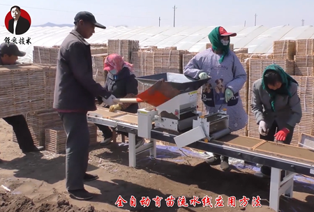 《錦良技術》水溶壯(zhuang)秧劑-流水線應(ying)用