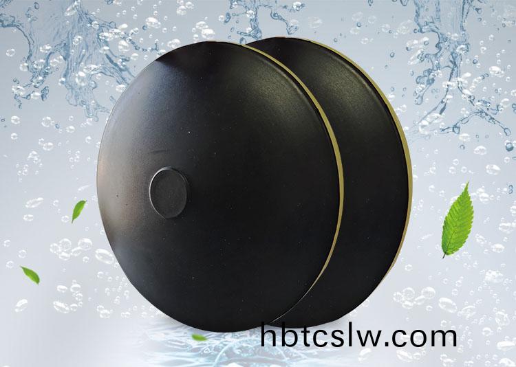 BPB薄(bao)盤型(xing)盤(pan)式曝(pu)氣器